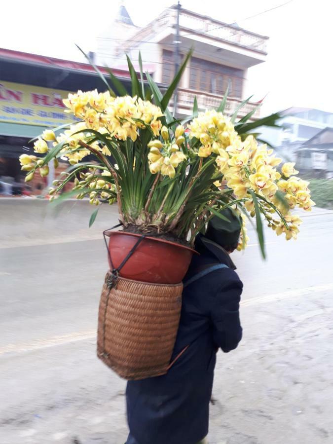 Thuan Ha Hotel 사파 외부 사진